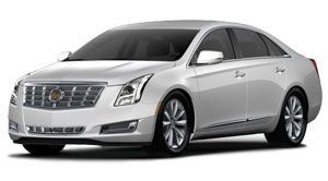 224 xts white